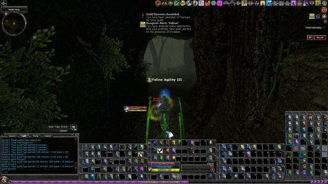 Dungeons & Dragons Online: R1 Solo - The Druid's Curse