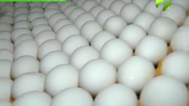 Тюменцы в Новый Уренгой везут более 40 тонн продуктов смотреть онлайн