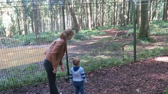 VLOG: ОКЕАНАРИУМ в Москве. ЗООПАРК в Мюнхене. - Ollysadvice смотреть онлайн