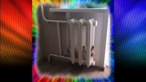 Замерз!Здесь погреюсь!