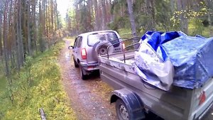 Заготовка, валежника.