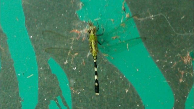 "Wake Up" by Coheed and Cambria смотреть онлайн