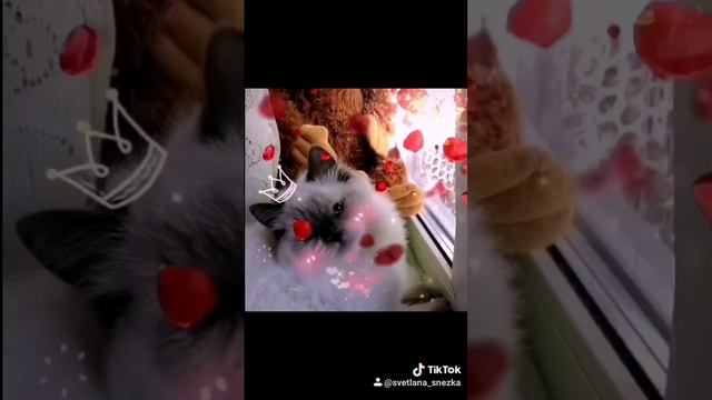 Зацелую!!!