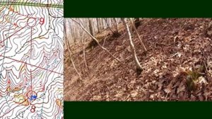 #008 Спортивное ориентирование (headcam orienteering) - 17.03.2022, УТС - 2 Геленджик