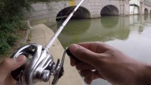 You Won't Believe What I Caught in Washington D.C. (Urban Bank Fishing)