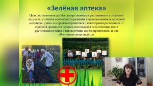 Практика применения современных подходов к экологическому воспитанию дошкольников.