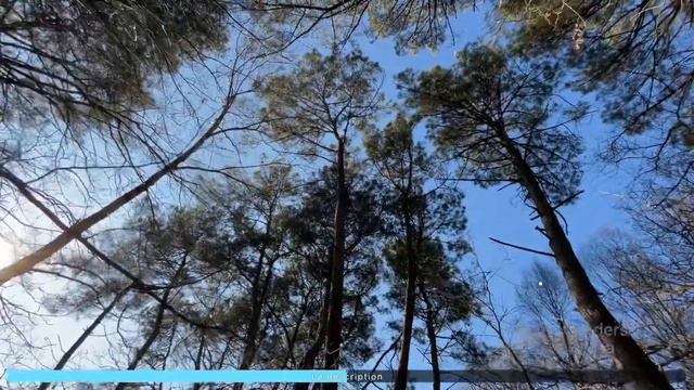 Утро воскресное утро чудесное - СОЛНЕЧНОЕ ПРОМЕНАДНОЕ смотреть онлайн