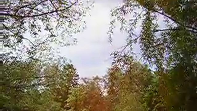 Где растет лоза или ива 03.MOV смотреть онлайн