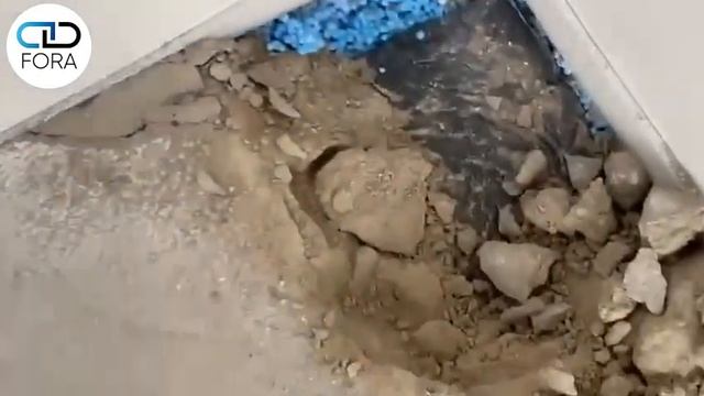 Досудебная экспертиза ЖК «Западный порт»