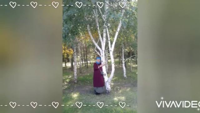 Одинокая волчица