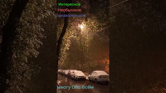 Недавний майский снегопад...