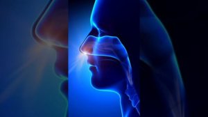 Сравнительная характеристика техник Марты Грэм и Хосе Лимона. Максимова Дарья. ПО ХОР 1 курс