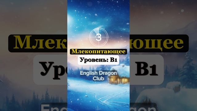 (17) ПЕРЕВЕДИ ЭТИ СЛОВА БЫСТРЕЕ ЧЕМ Я, слова на английском языке #английскиеслова #английский #шортс