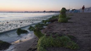 Анапа 2022 и все включено! Отель Бора-Бора в Анапе. Отдых в Джемете