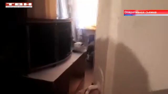 Замеры воздуха в «кошачьей» квартире