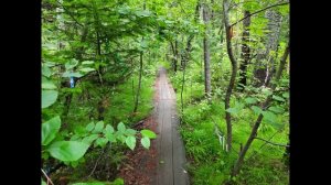 ГОРЯЧИЕ  ИСТОЧНИКИ.  БУРЯТИЯ  ТУНКИНСКАЯ ДОЛИНА. ЖЕМЧУГ.