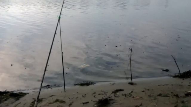 Плотва в ноябре, городская рыбалка смотреть онлайн