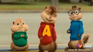 Бурундуки песня королева танспола