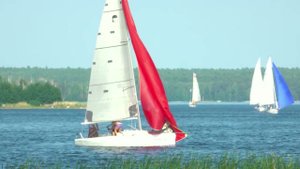 Яхты на парусной регате на озере Увильды 29 июля 2023 г