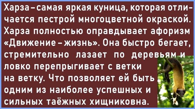 НАСКОЛЬКО ТЫ ОБРАЗОВАН? Тест на эрудицию из 30 вопросов. Империя Тестов