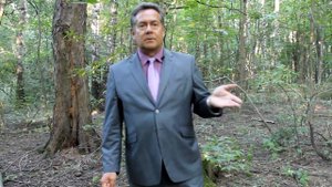 17.08.2018 - Николай Платошкин о падении курса рубля - В обвале виноваты Минфин и Центробанк.