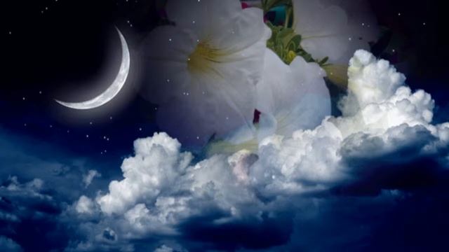 МЕДИТАЦИЯ ПЕРЕД СНОМ. Звуки ночного леса. музыка для сна смотреть онлайн