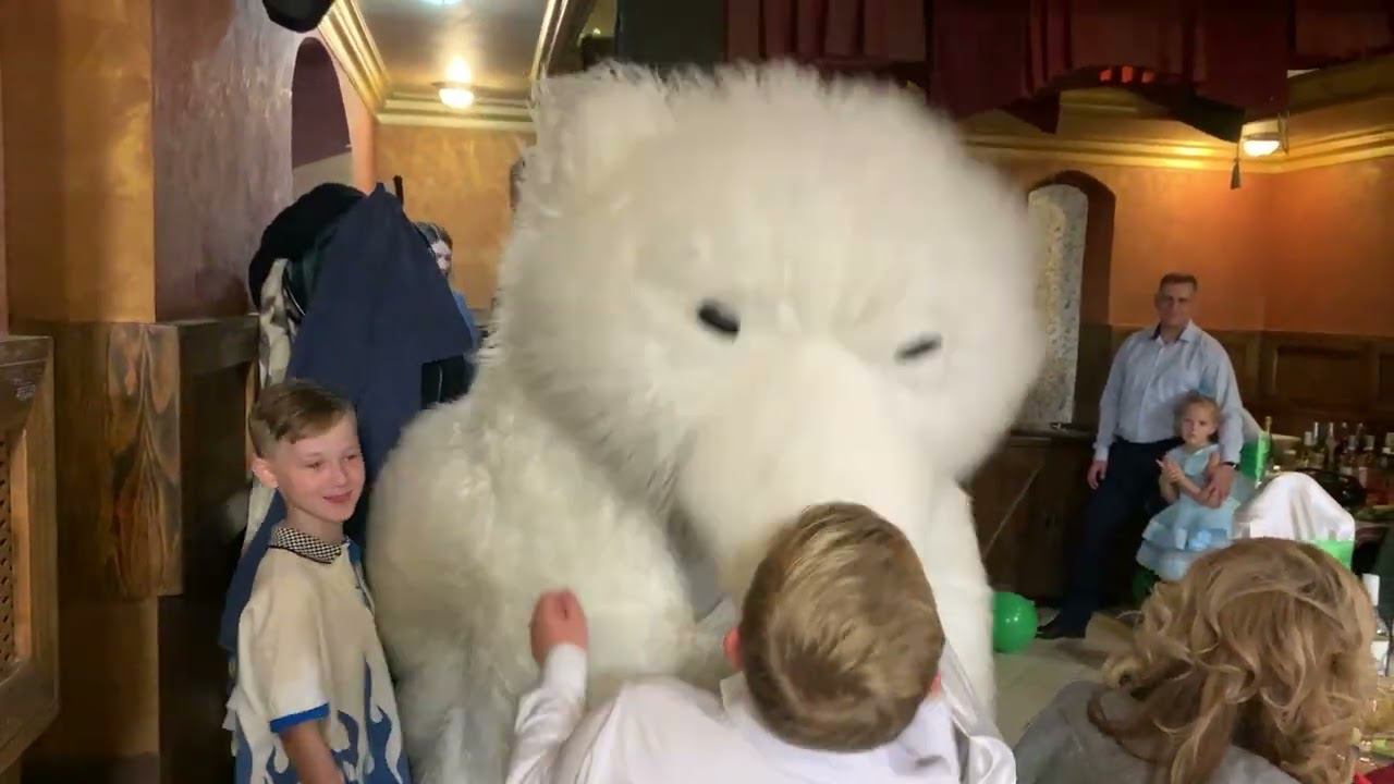 Волшебный Юбилей: Когда Женщину Поздравил Белый Медведь Аниматор смотреть онлайн