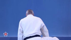 Hon kesa gatame (хон кэса гатамэ) техника сковывающих действий на кю 5(желтый пояс) дзюдо
