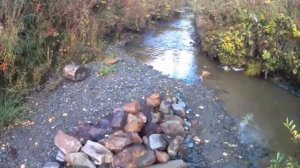 В поисках снежного человека ( 4 часть)