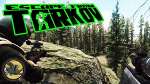 Легкие пробежки в Лесу. Дроп ! Escape from Tarkov