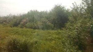 Стук колес поезда на участке Ейск-Староминская | расслабляющие звуки | прекрасные просторы Кубани