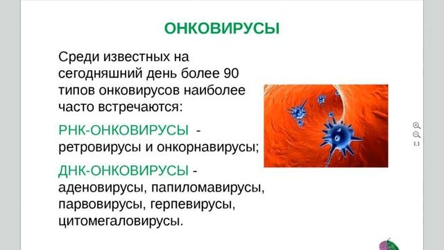 ОЧИЩЕНИЕ ОТ ТОКСИНОВ И ПАРАЗИТОВ
