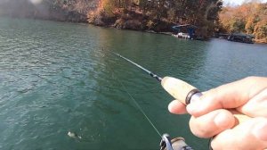 Bobby Garland VS Berkley GULP (Let The Crappie Decide!)