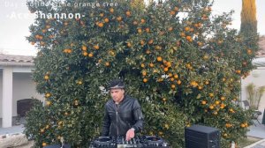 Ace Shannon - Day routine @the orange tree (FR)