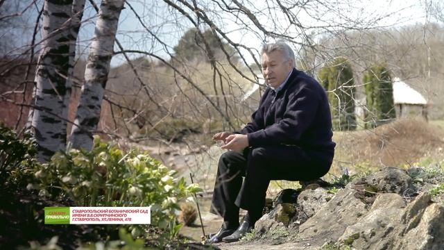 Ставропольский ботанический сад. Рокарий.