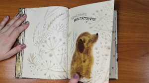 Карина Кино