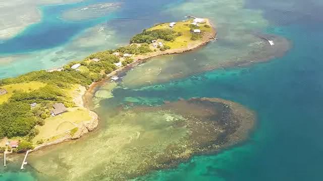 Роберт Адамс - 005. Четыре принципа самореализации, озвучивает Nikosho. смотреть онлайн