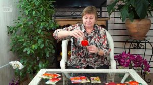 Крупноплодные томаты ? СИБИРСКИЙ САД ? Обзор сортов семян на Хитсад ТВ