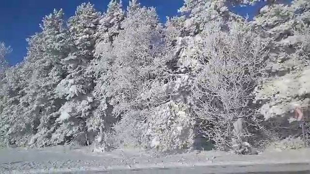 19.12.2022 год.Зимняя красота! - Мороз и солнце,день чудесный!