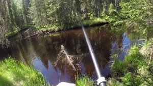 В глухомань за хариусом!