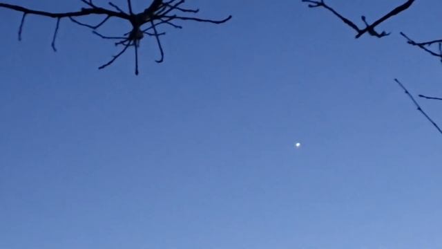 видно на небе Сириус смотреть онлайн