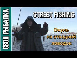 Окунь на отводной поводок. Street fishing Дубна, февраль