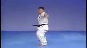 Пинан Соно Ичи, Ни, Сан, Ён, Го Каратэ Киокушинкай