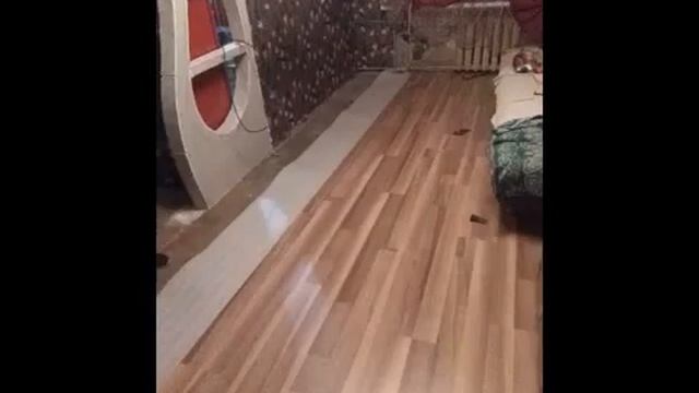 Арка своими руками под настроение смотреть онлайн