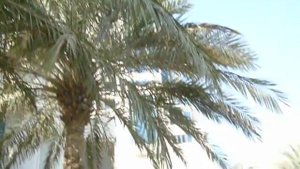 Doha Ritz Carlton Hotel