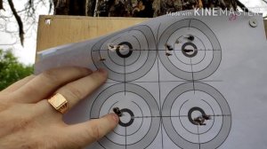 RaR vl12, 5.5 jsb and h&h "Золотые" пули или чистый свинец? Выбор пуль на охоту