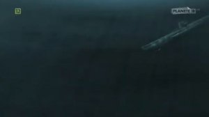 Тайна пропавшей субмарины U-455