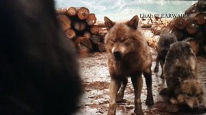 Сумерки волки ~ ДЕНЬ, НОЧЬ РУКИ ПРОЧЬ