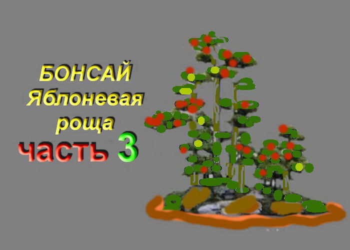 3.Бонсай  Лес из яблонь часть 3Bonsai Grove from apple trees