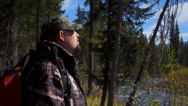 Заготовка кедрового ореха смотреть онлайн